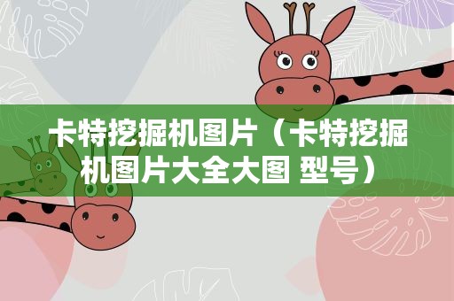 卡特挖掘机图片（卡特挖掘机图片大全大图 型号）