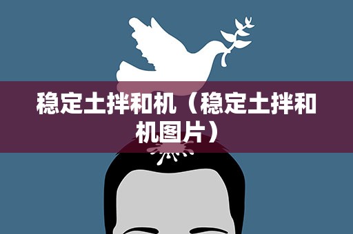 稳定土拌和机（稳定土拌和机图片）