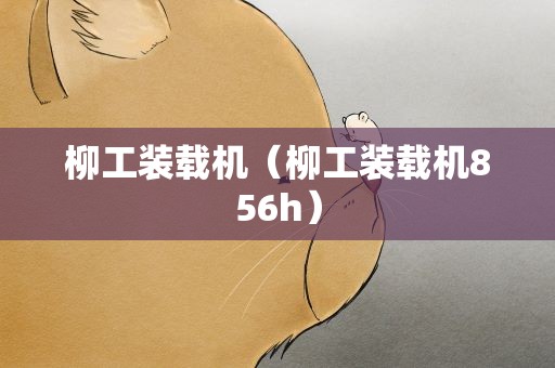 柳工装载机（柳工装载机856h）
