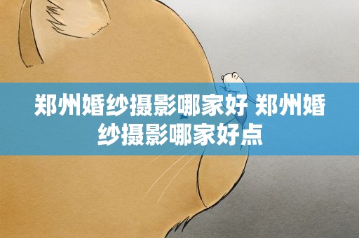 郑州婚纱摄影哪家好 郑州婚纱摄影哪家好点