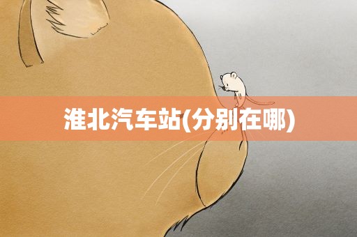 淮北汽车站(分别在哪)