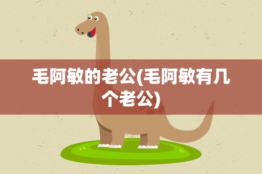 毛阿敏的老公(毛阿敏有几个老公)