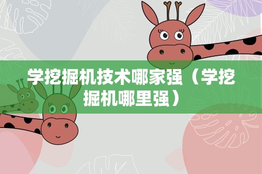 学挖掘机技术哪家强（学挖掘机哪里强）