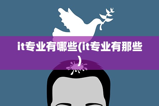 it专业有哪些(it专业有那些)