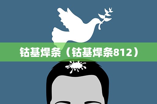 钴基焊条（钴基焊条812）