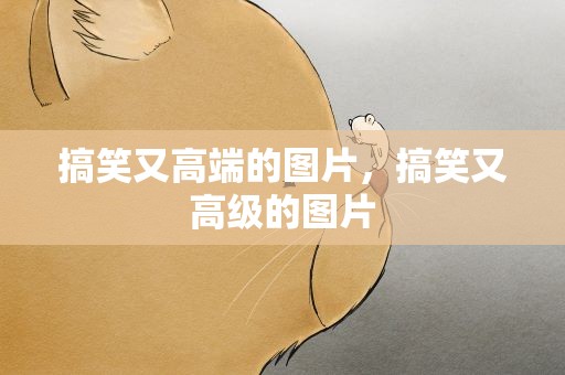 搞笑又高端的图片，搞笑又高级的图片