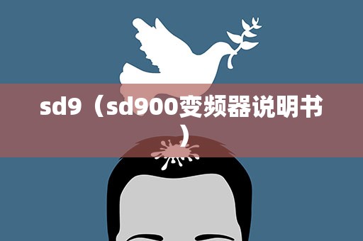 sd9（sd900变频器说明书）