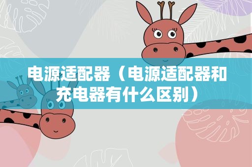 电源适配器（电源适配器和充电器有什么区别）