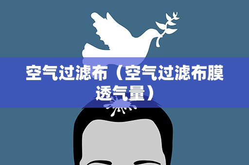 空气过滤布（空气过滤布膜透气量）