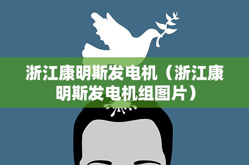 浙江康明斯发电机（浙江康明斯发电机组图片）