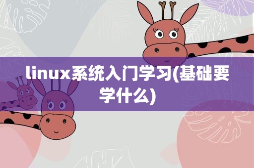 linux系统入门学习(基础要学什么)