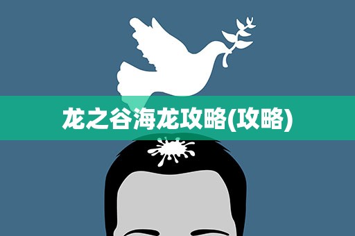 龙之谷海龙攻略(攻略)