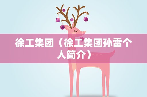 徐工集团（徐工集团孙雷个人简介）
