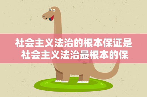 社会主义法治的根本保证是 社会主义法治最根本的保证