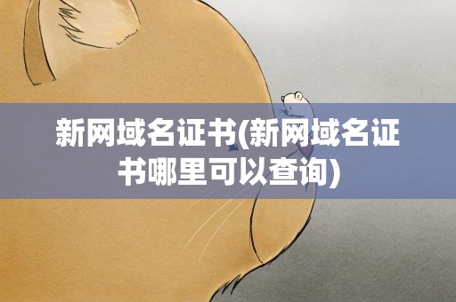 新网域名证书(新网域名证书哪里可以查询)