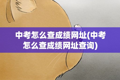 中考怎么查成绩网址(中考怎么查成绩网址查询)