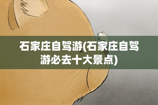 石家庄自驾游(石家庄自驾游必去十大景点)
