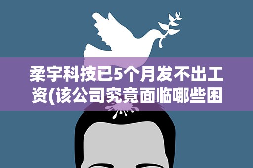柔宇科技已5个月发不出工资(该公司究竟面临哪些困境)