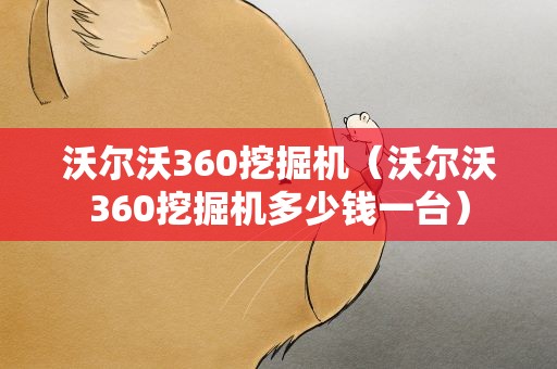 沃尔沃360挖掘机（沃尔沃360挖掘机多少钱一台）