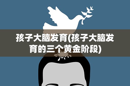 孩子大脑发育(孩子大脑发育的三个黄金阶段)