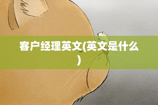客户经理英文(英文是什么)
