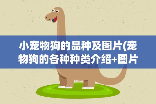 小宠物狗的品种及图片(宠物狗的各种种类介绍+图片)