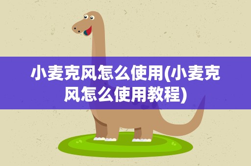 小麦克风怎么使用(小麦克风怎么使用教程)