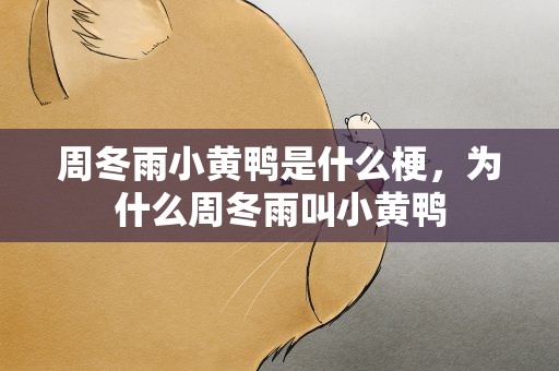 周冬雨小黄鸭是什么梗，为什么周冬雨叫小黄鸭