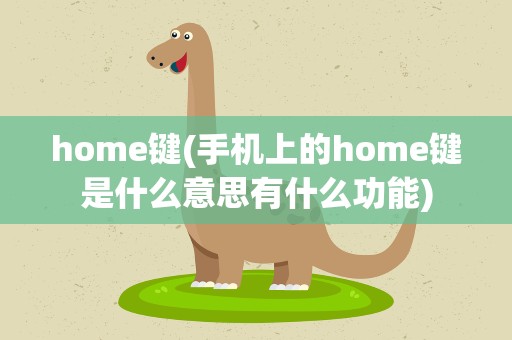 home键(手机上的home键是什么意思有什么功能)