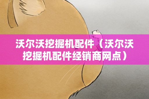 沃尔沃挖掘机配件（沃尔沃挖掘机配件经销商网点）