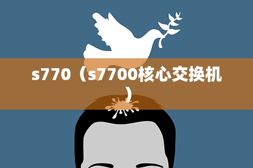 s770（s7700核心交换机）