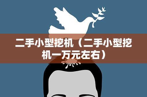 二手小型挖机（二手小型挖机一万元左右）