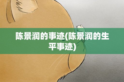 陈景润的事迹(陈景润的生平事迹)