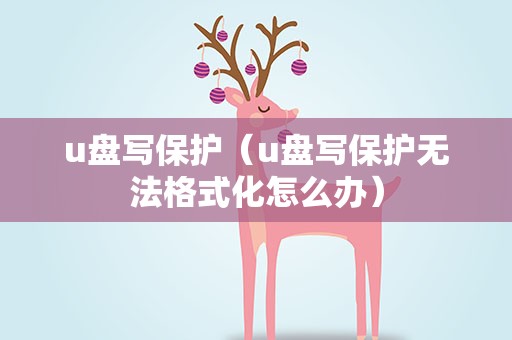 u盘写保护（u盘写保护无法格式化怎么办）
