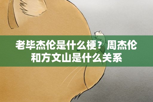 老毕杰伦是什么梗？周杰伦和方文山是什么关系