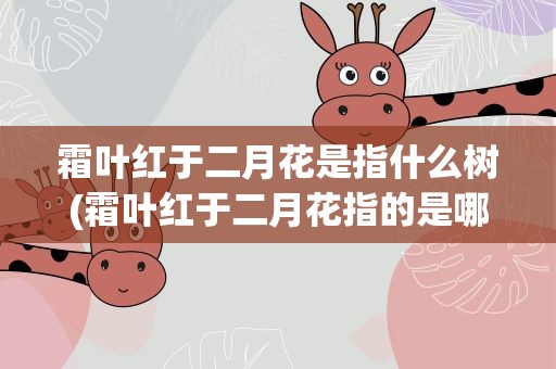 霜叶红于二月花是指什么树(霜叶红于二月花指的是哪一种树)