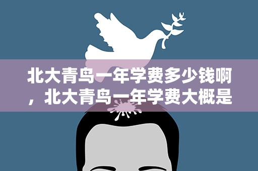 北大青鸟一年学费多少钱啊，北大青鸟一年学费大概是多少