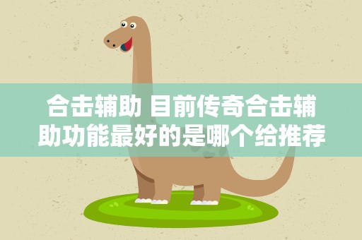 合击辅助 目前传奇合击辅助功能最好的是哪个给推荐下
