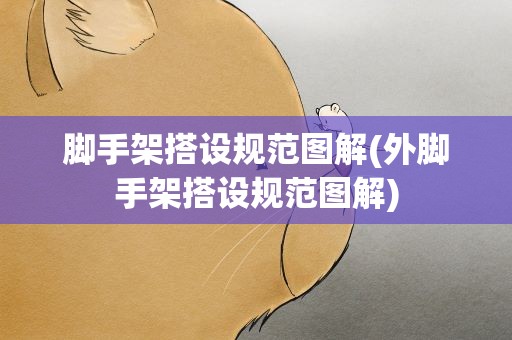 脚手架搭设规范图解(外脚手架搭设规范图解)