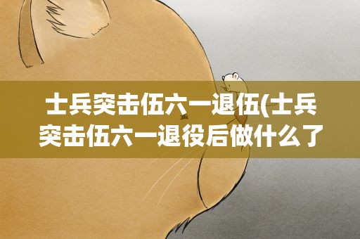 士兵突击伍六一退伍(士兵突击伍六一退役后做什么了)