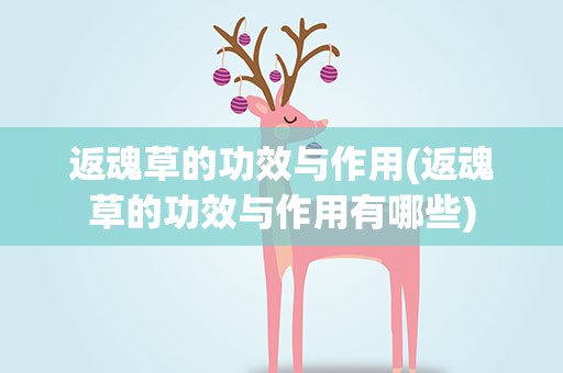 返魂草的功效与作用(返魂草的功效与作用有哪些)