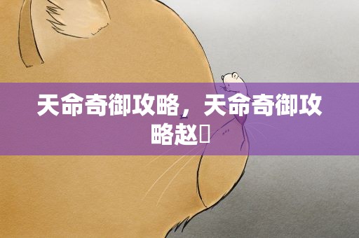 天命奇御攻略，天命奇御攻略赵妽