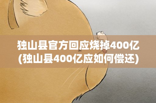 独山县官方回应烧掉400亿(独山县400亿应如何偿还)