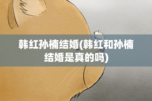 韩红孙楠结婚(韩红和孙楠结婚是真的吗)