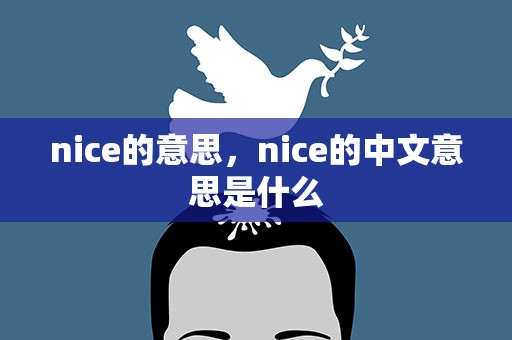 nice的意思，nice的中文意思是什么