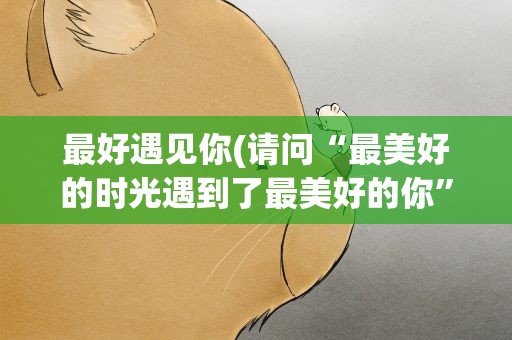 最好遇见你(请问“最美好的时光遇到了最美好的你”这句话出自哪里)
