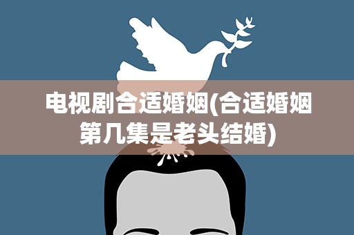 电视剧合适婚姻(合适婚姻第几集是老头结婚)