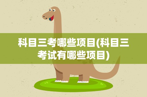 科目三考哪些项目(科目三考试有哪些项目)