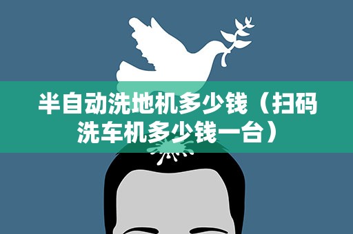 半自动洗地机多少钱（扫码洗车机多少钱一台）