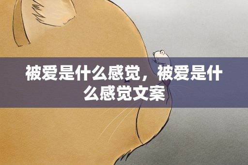 被爱是什么感觉，被爱是什么感觉文案